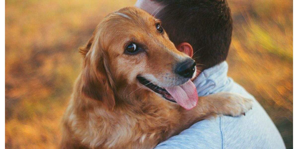 Einfamilienhaus Lichtenau - 4 Zimmer, 130 m&sup2;, 275.500&euro; | Angebot:25317881