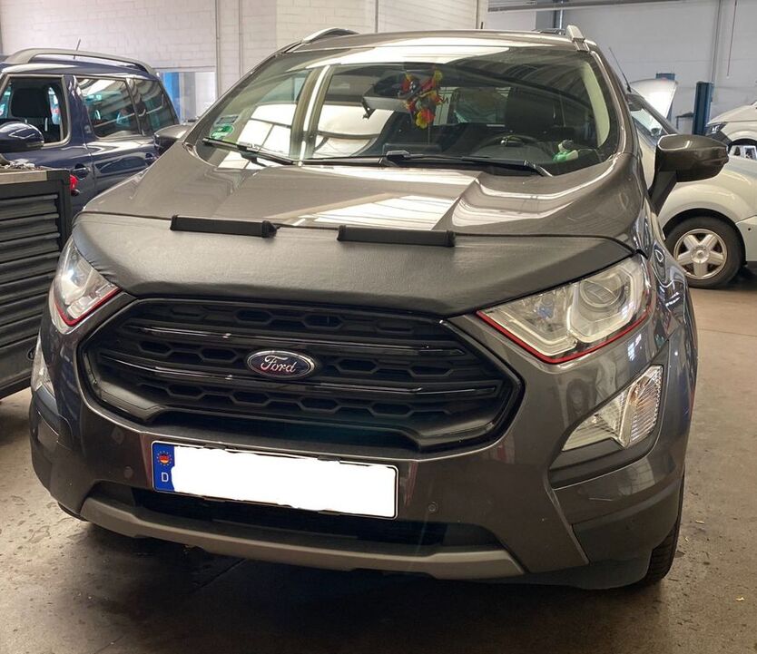 EcoSport