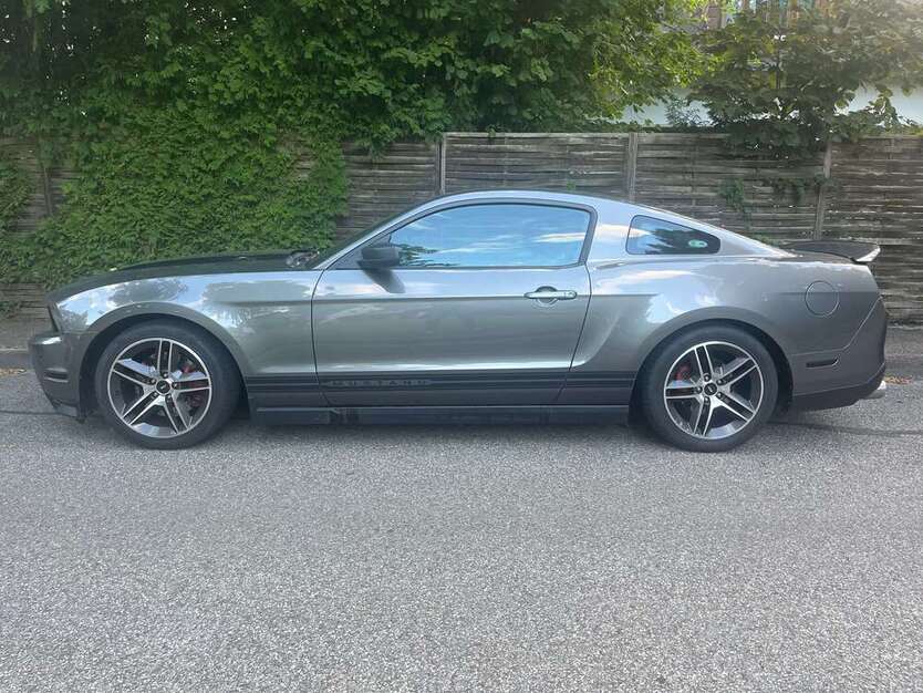 Mustang
