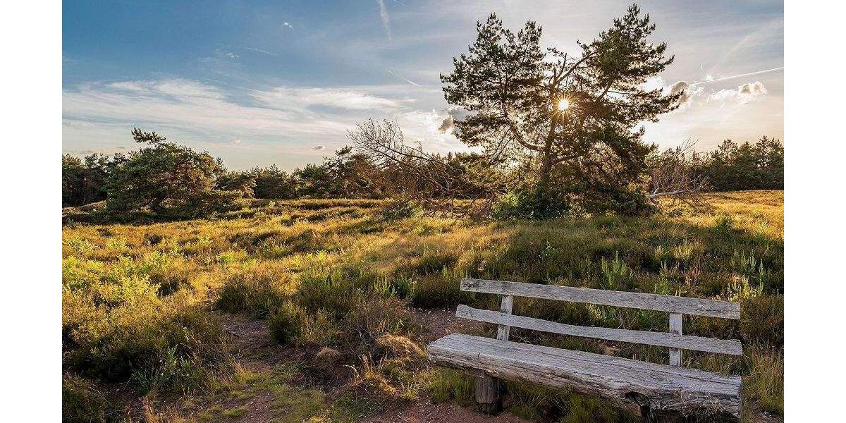 Etagenwohnung Radeberg Ullersdorf - 3 Zimmer, 134 m&sup2;, 478.540&euro; | Angebot:24910900