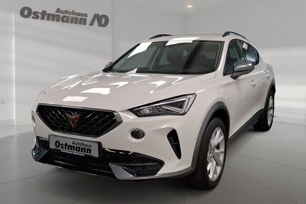 Cupra Formentor 17.800 km 29.661 &euro; Wolfhagen 34466