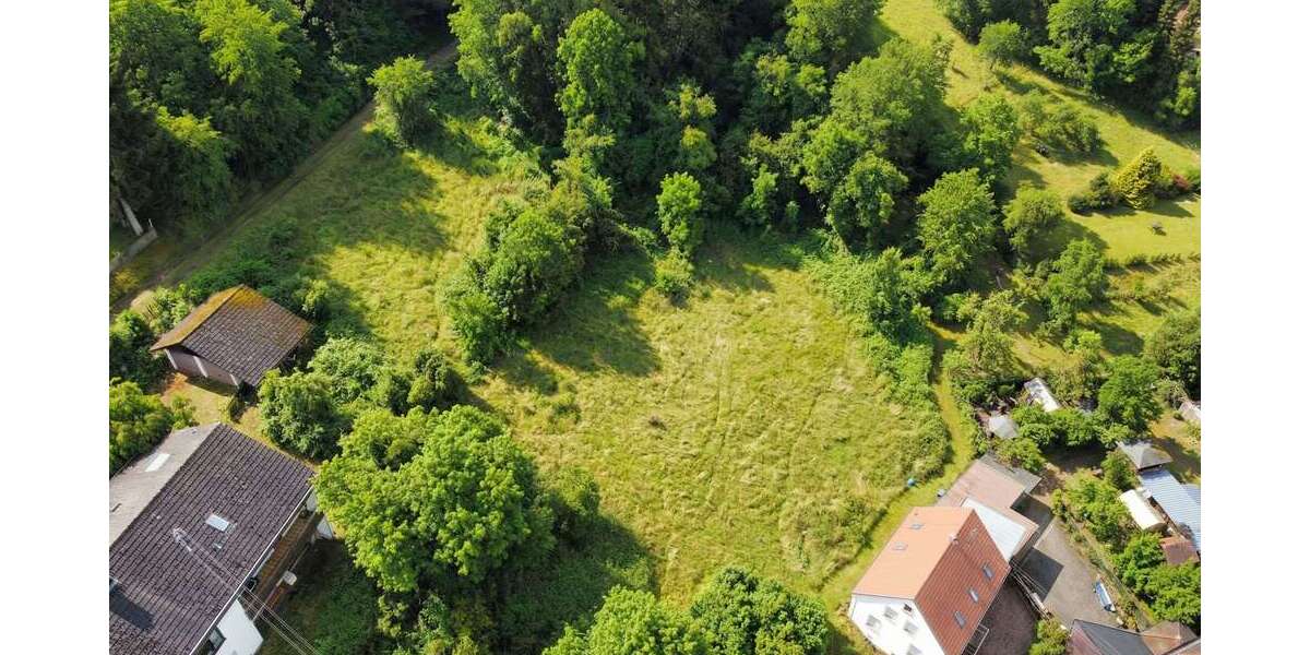 Grundstück Bann - 85.000&euro; | Angebot:25642842
