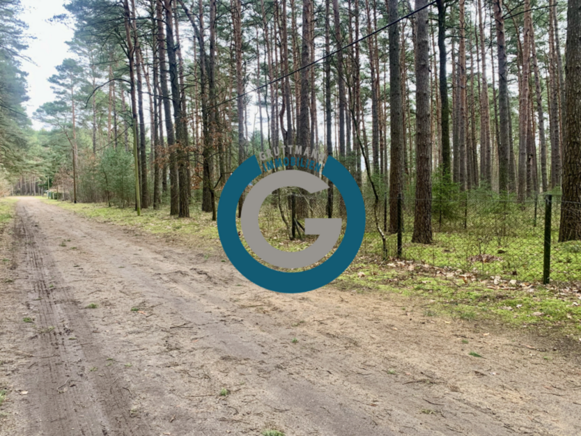 Grundstück zu verkaufen in Borkheide 47.000 € 1281 m²