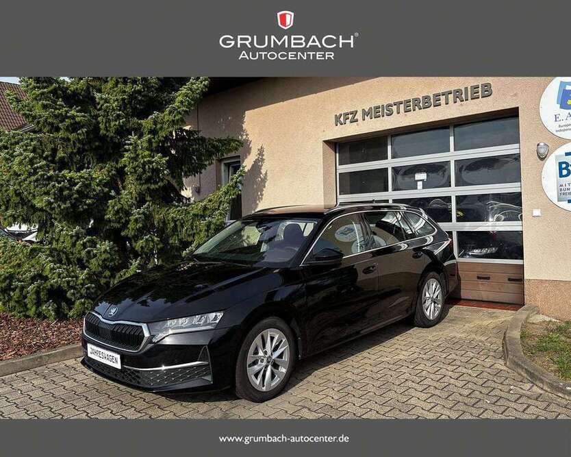 Skoda Octavia 4.065 km 30.490 € Muldestausee 06774