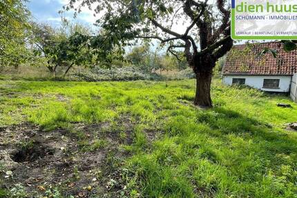 Grundstück Wittenbeck - 390.000&euro; | Angebot:24032537