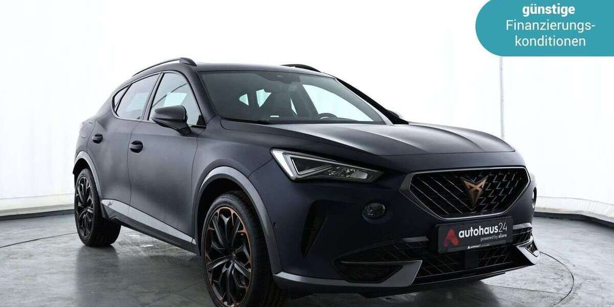 Cupra Formentor 50.086 km 26.470 &euro; Egelsbach 63329