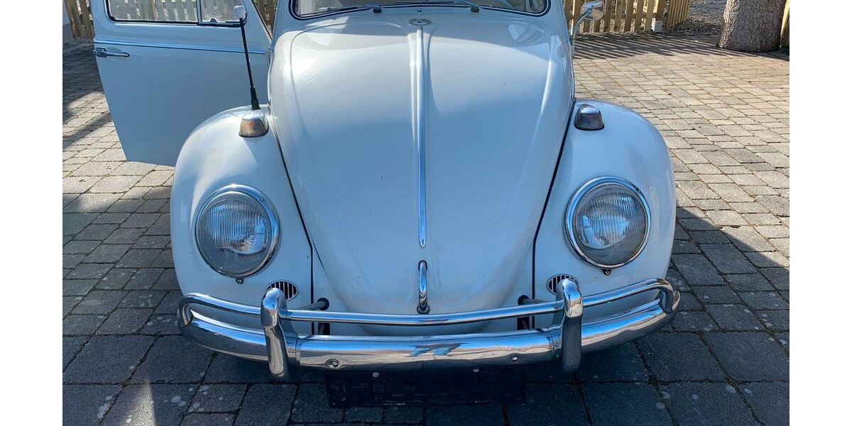 VW Käfer 55.968 km 9.780 &euro; Bernau bei Berlin 16321