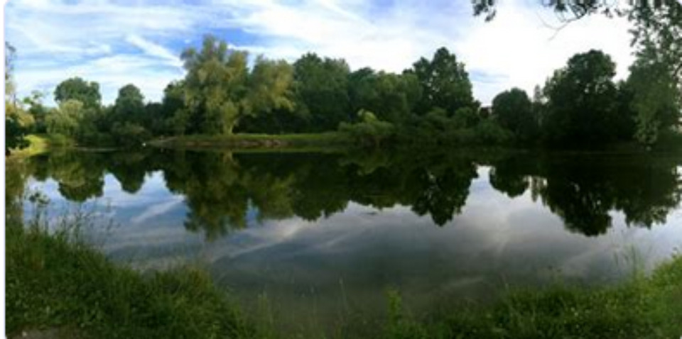 Dachgeschoss 1-Raum-Wohnung in Dessau Nord 1 zimmer