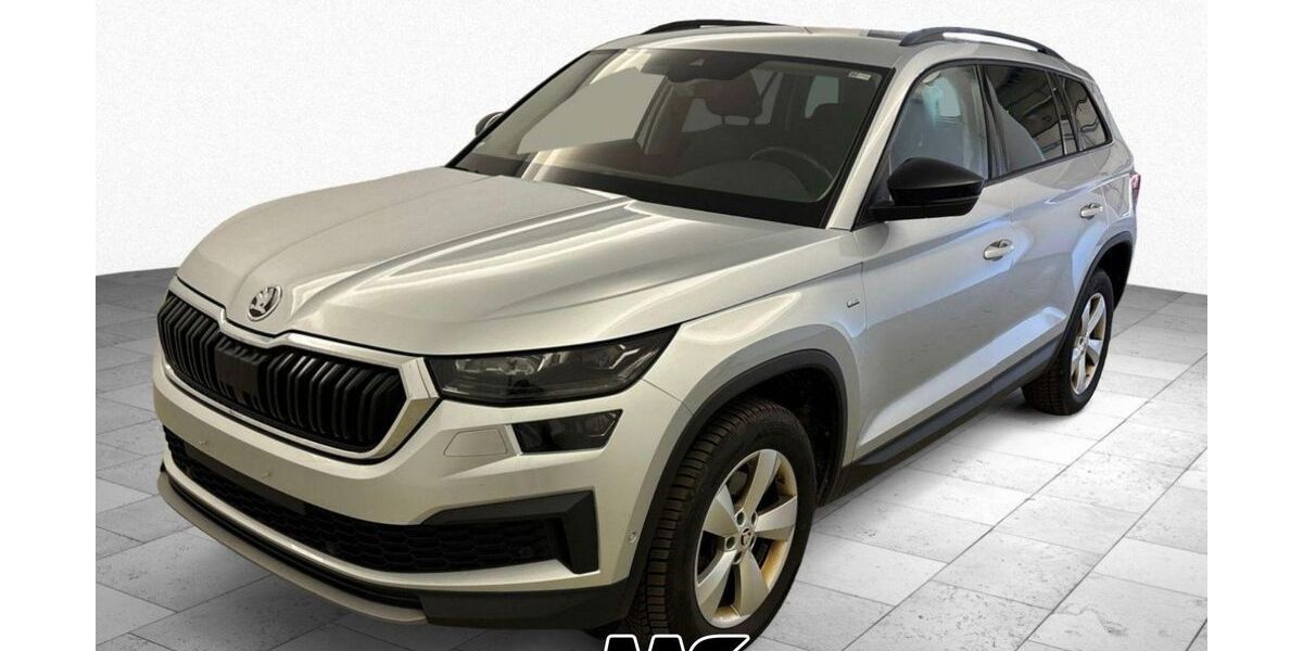 Skoda Kodiaq 171.885 km 20.450 &euro; Steinbach-Hallenberg OT Herges-Hallenberg 98587