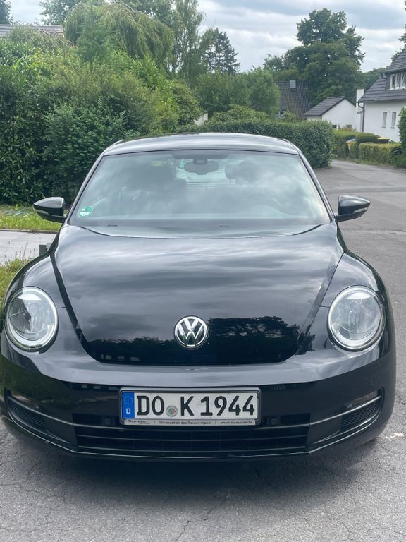 Beetle
