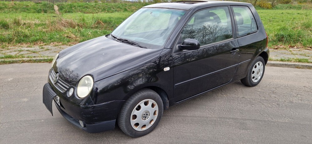 Lupo