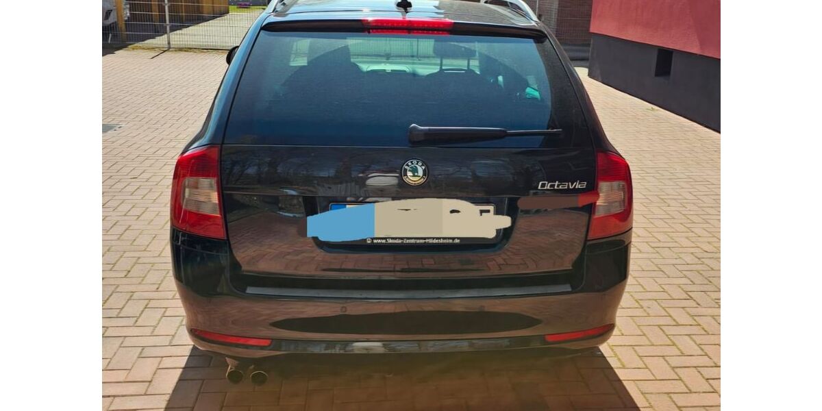 Skoda Octavia 170.000 km 5.885 &euro; Sassenburg 38524