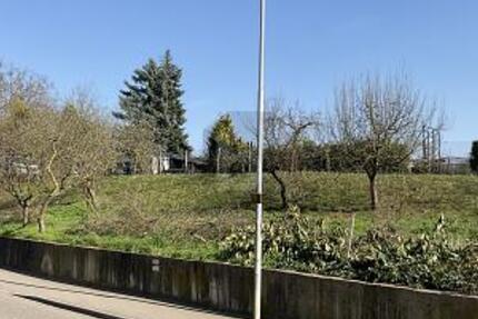 BAUPLATZ FÜR EIN MEHRFAMILIENHAUS - Grundstück Walzbachtal | Angebot:26617525