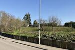 BAUPLATZ FÜR EIN MEHRFAMILIENHAUS - Grundstück Walzbachtal | Angebot:26617525