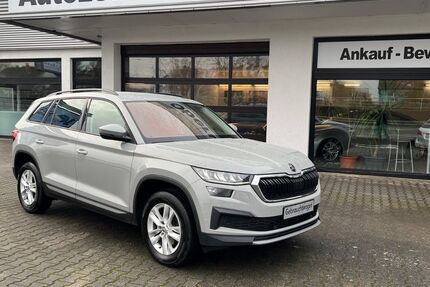 Skoda Kodiaq 168.250 km 20.970 &euro; Oberursel/Taunus 61440