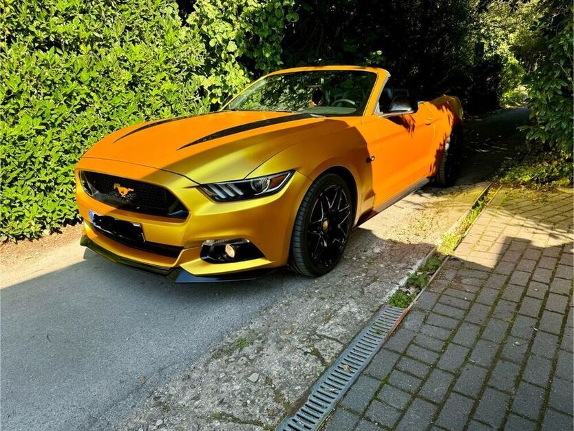 Mustang