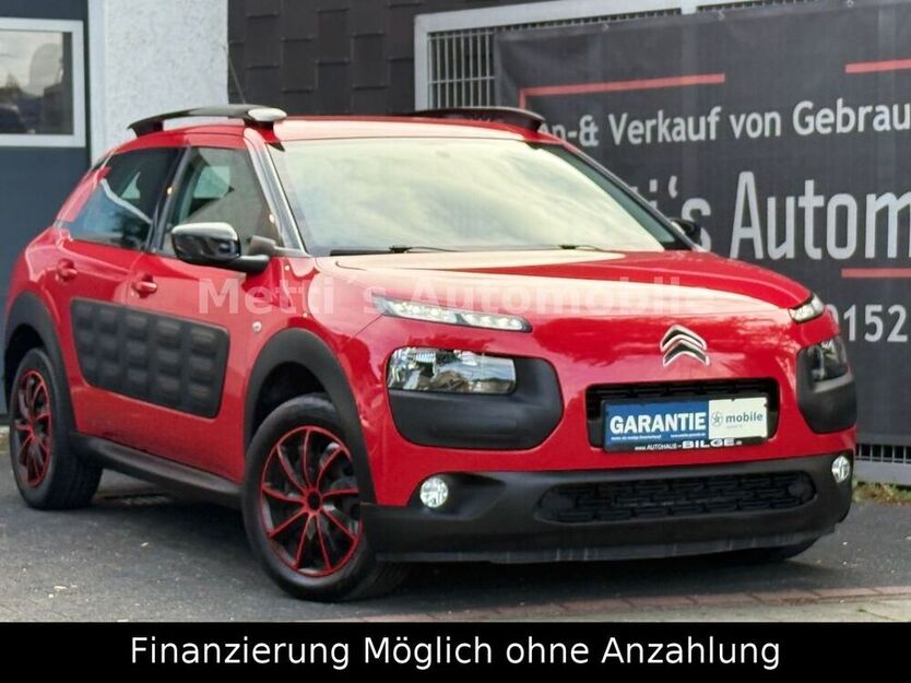 C4 Cactus
