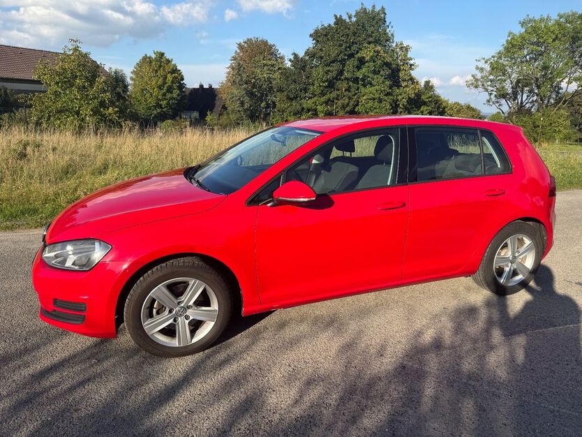 VW Golf 60.000 km 9.990 € Rheine 48429