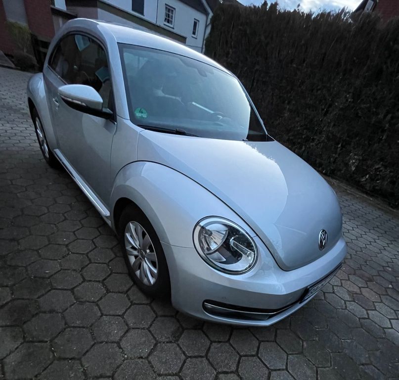 Beetle