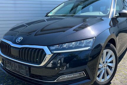 Skoda Octavia 243.000 km 11.850 &euro; Bad Lippspringe 33175