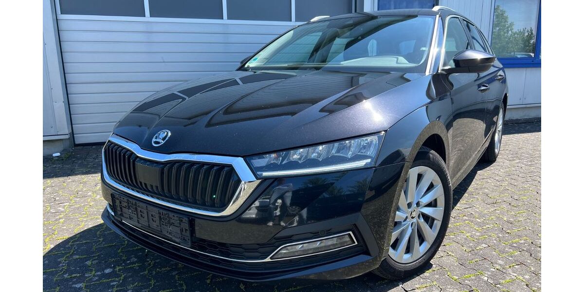 Skoda Octavia 243.000 km 11.850 &euro; Bad Lippspringe 33175