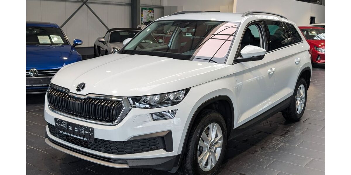Skoda Kodiaq 78.000 km 30.900 &euro; Weinheim 69469
