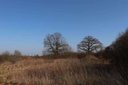 Grundstück in Schleswig 350.000 € 3500 m²