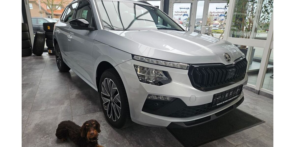Skoda Kamiq 21.578 km 19.990 &euro; Recke 49509