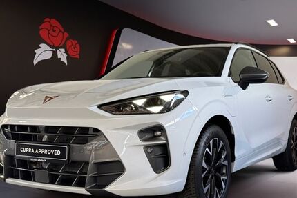 Cupra Terramar 26.100 km 37.150 &euro; Zimmern ob Rottweil 78658