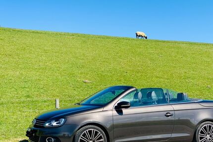 VW Eos