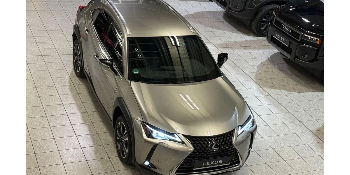 Lexus UX 39.566 km 24.898 &euro; Poing bei München 85586