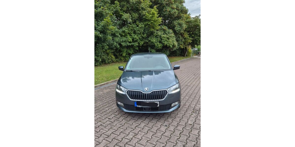 Skoda Fabia 92.600 km 11.800 &euro; Loßburg 72290