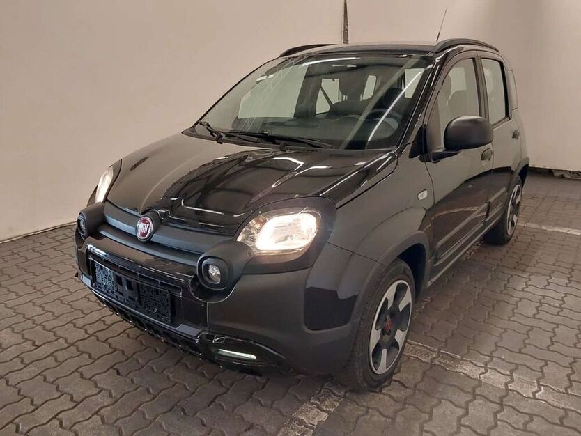 Panda
