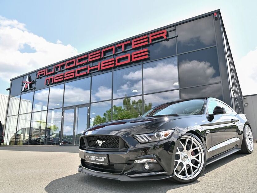 Mustang