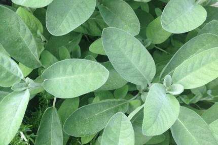 Grundstück Olching - 345.000&euro; | Angebot:25746712