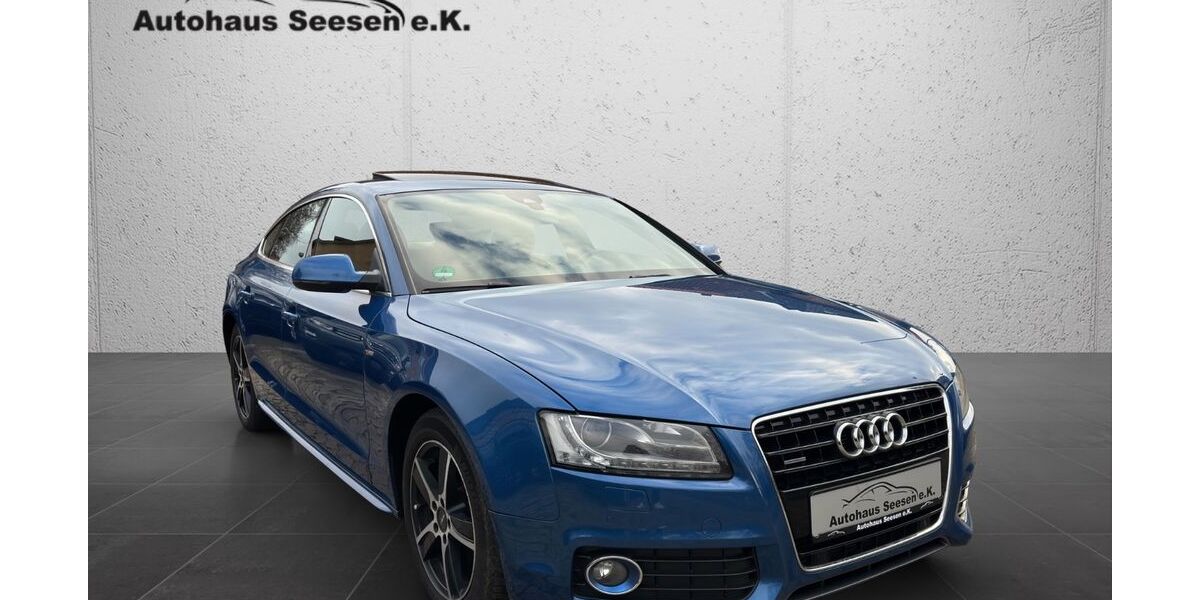 Audi A5 233.400 km 9.890 &euro; Seesen/Rhüden 38723
