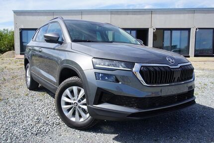 Skoda Karoq 18.965 km 28.850 &euro; Parkstetten 94365
