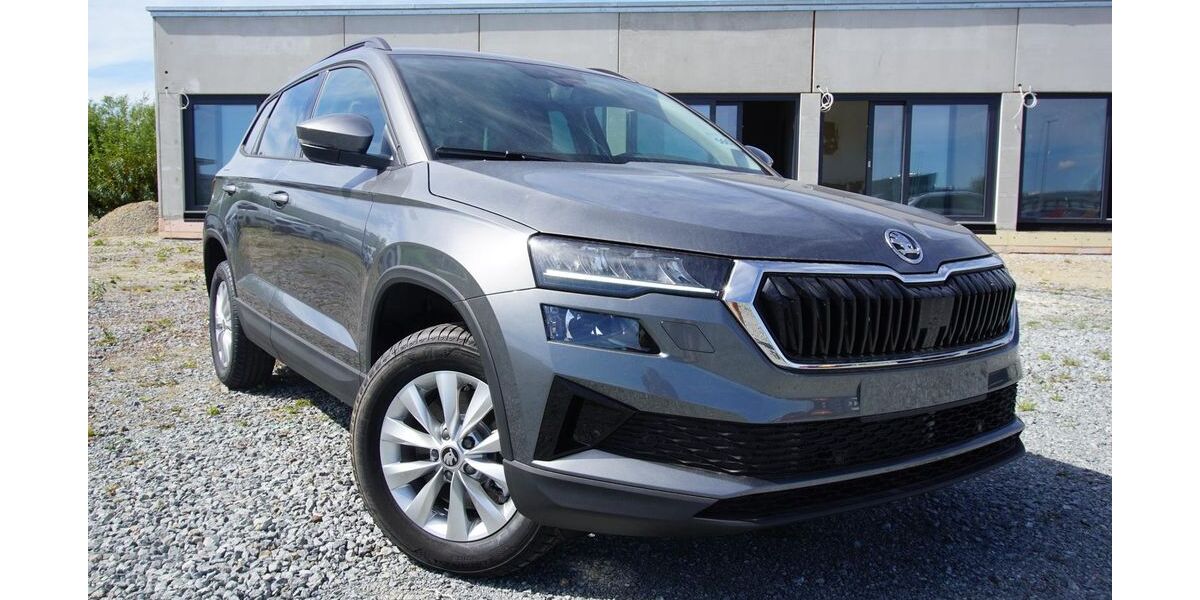 Skoda Karoq 18.965 km 28.850 &euro; Parkstetten 94365