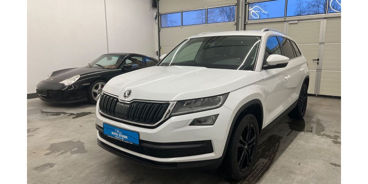 Skoda Kodiaq 192.000 km 18.480 &euro; Landau a.d.Isar 94405