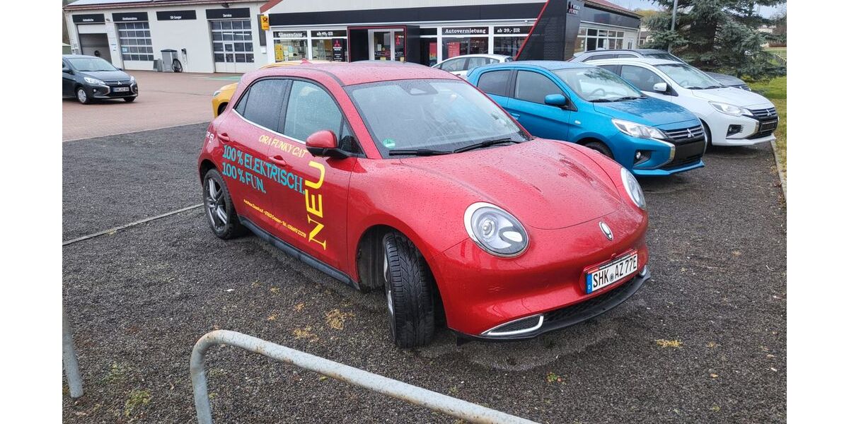 GWM Ora 03 21.000 km 23.990 € Crossen 07613