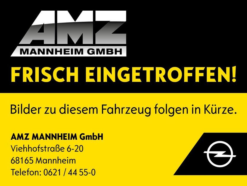 Opel Zafira Life 35.060 km 36.990 € Mannheim 68165