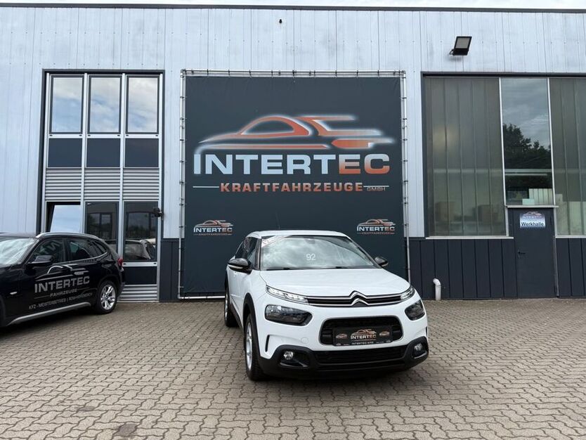 C4 Cactus