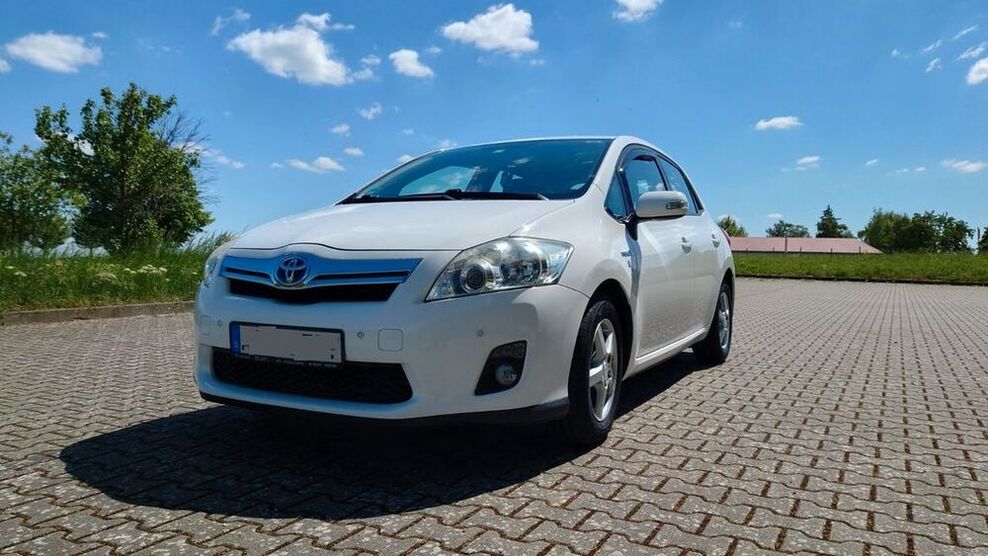 Auris
