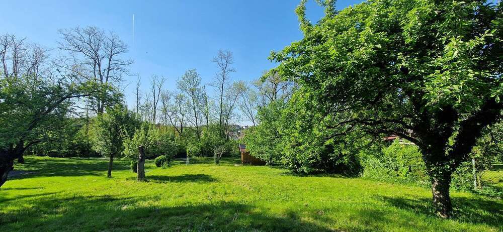 Grundstück zu verkaufen in Stuttgart 43.900 € 750 m²
