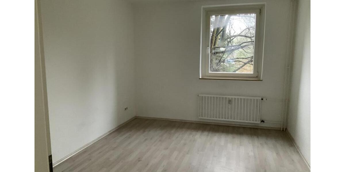 Erdgeschoßwohnung Gelsenkirchen Gelsenkirchen-Nord - 2 Zimmer, 40 m&sup2;, 309&euro; | Angebot:25444616