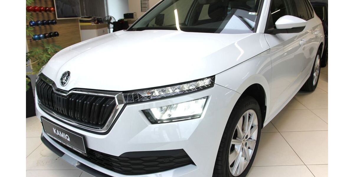 Skoda Kamiq 26.334 km 19.881 &euro; Forst 03149