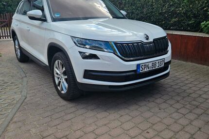 Skoda Kodiaq 107.661 km 21.499 &euro; Guben 03172