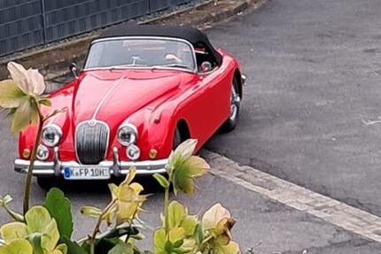 Jaguar XK 14.800 km 84.800 &euro; Köln-Pesch 50767
