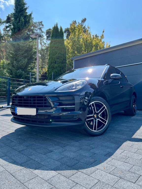 Macan