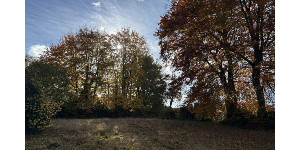 Grundstück Roetgen Rott - 230.000&euro; | Angebot:25743215